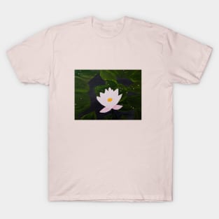 Water Lily T-Shirt